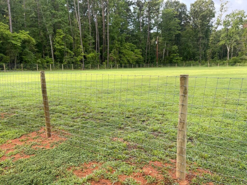 Cattle-Fence